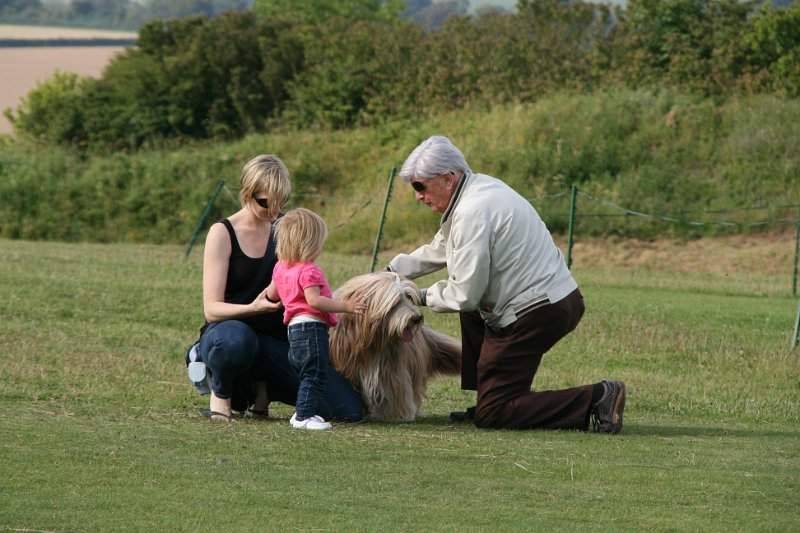 Engeland zuiden (o.a. Stonehenge) - 081